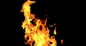 Predatory University of Phoenix could be burning out University of Phoenix