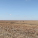 Flint Hills