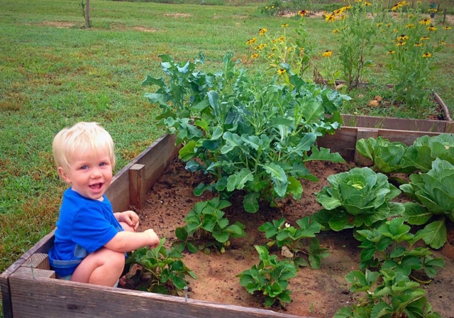 school gardens