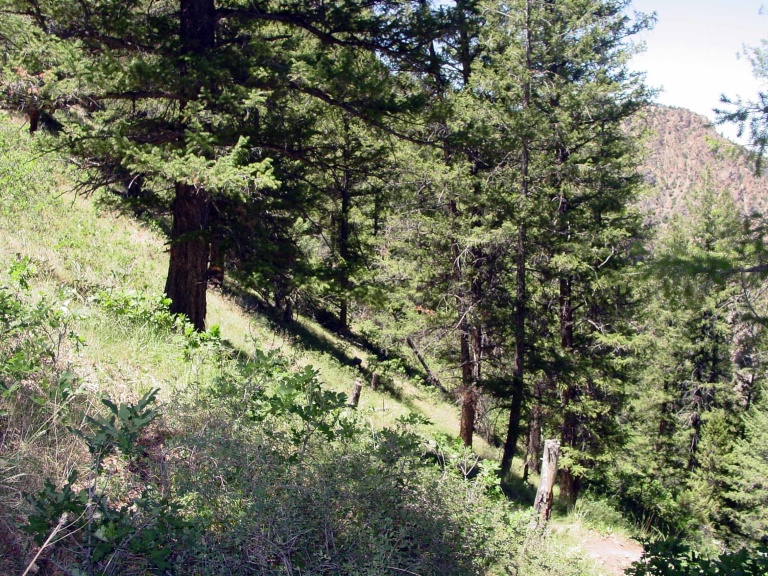 Black Canyon of The Gunnison: Failure is an option