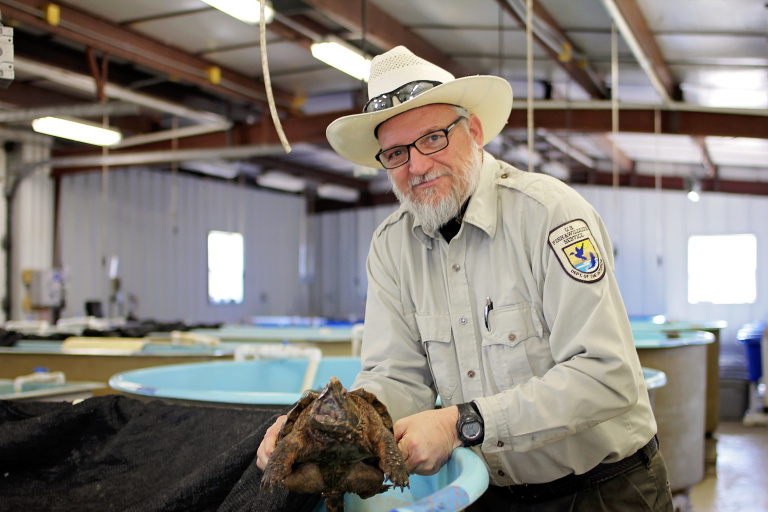 Alligator snapping turtle making a comeback thanks to Tishomingo National Fish Hatchery