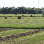 Cleveland County cubism