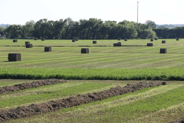 Cleveland County cubism