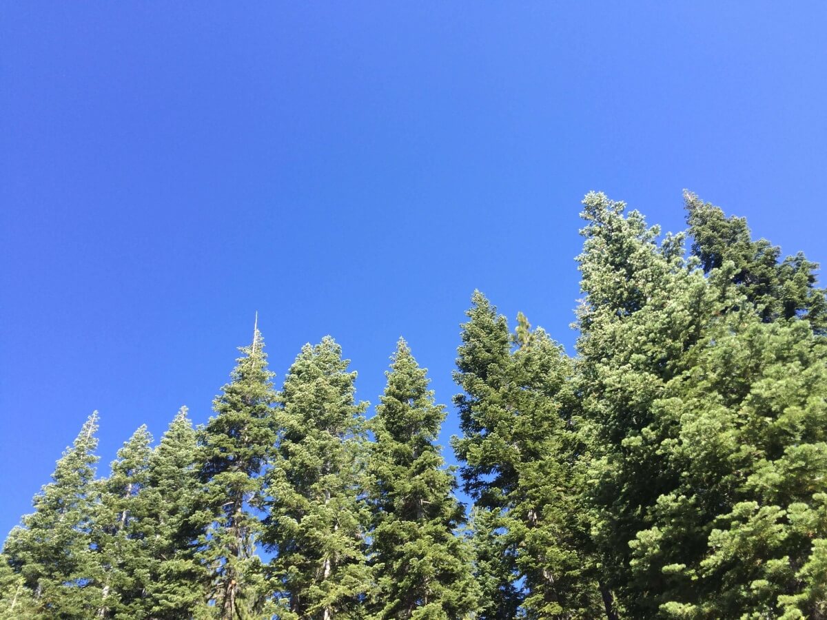 ICYMI: Evergreen links from NonDoc’s first eight months