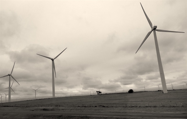 wind energy