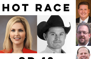 Fmr. beauty queen, reality-TV star among SD 13 hopefuls SD 13