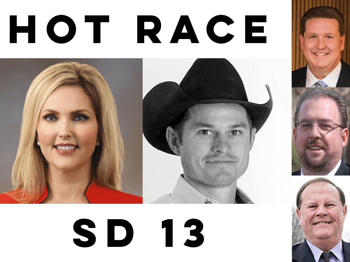 Fmr. beauty queen, reality-TV star among SD 13 hopefuls