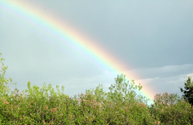 rainbow landing