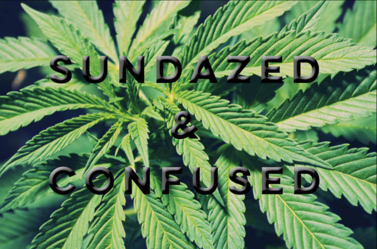 Sundazed: Medical marijuana and the Drug War