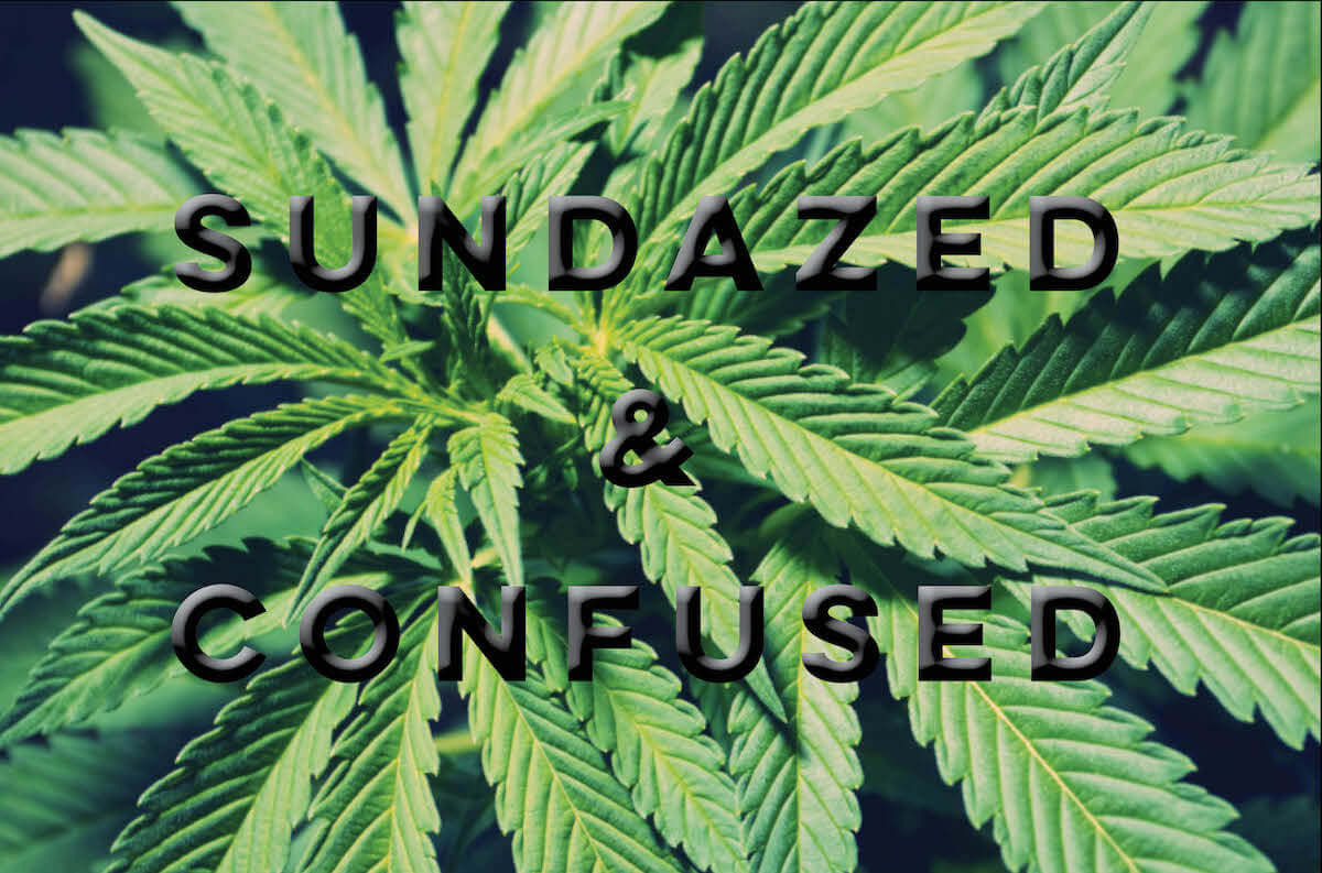 Sundazed: Medical marijuana and the Drug War