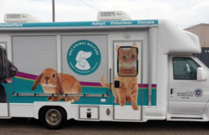 Pressed releases: Road trips for #oklaed, homeless pets Waggin' Wagon