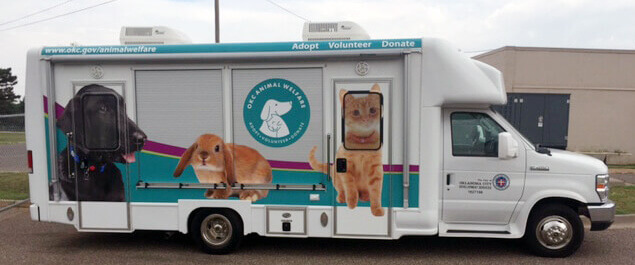 Pressed releases: Road trips for #oklaed, homeless pets