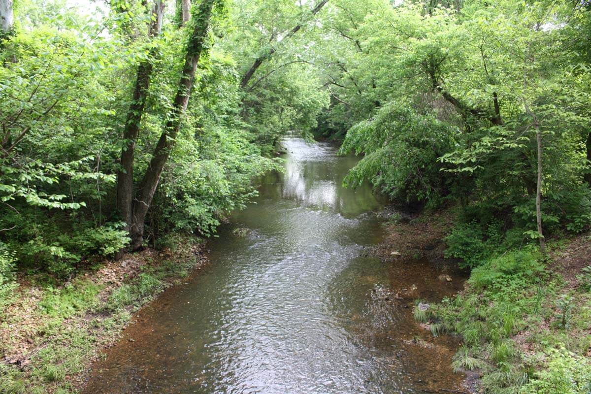 Photos: Water, water, everywhere …
