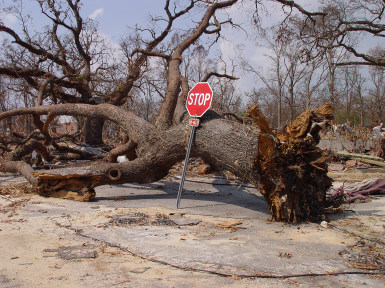 The man set free by Hurricane Katrina