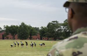 In depth: Federal reports on military voting often flawed military voting