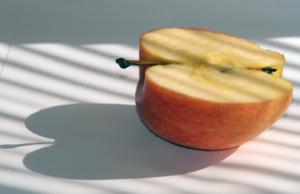 You can count an apple’s seeds but not the seed’s apples seeds