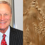 Switzer_Wheat