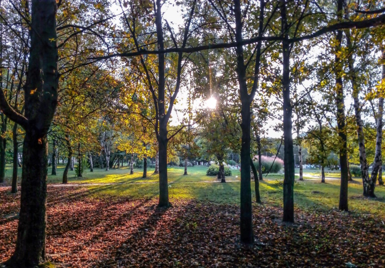 Sundaze poem: The Autumn Solstice