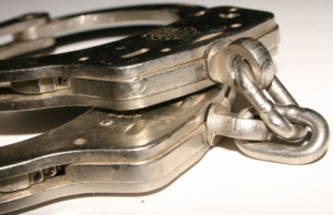 SQ 780, 781: Economic reality versus criminal potential SQ 780