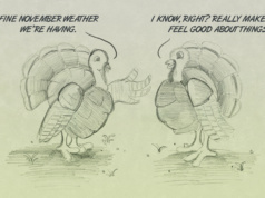 Sundaze: Turkey talk for a lovely November turkey talk