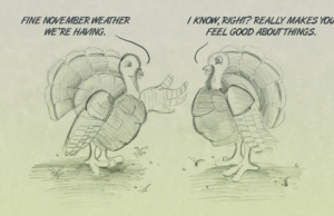 Sundaze: Turkey talk for a lovely November turkey talk