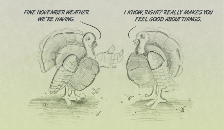 Sundaze: Turkey talk for a lovely November