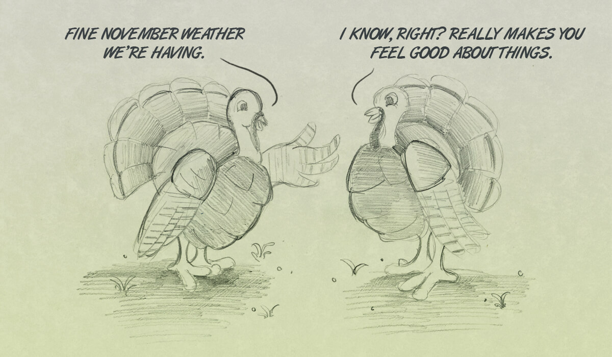 Sundaze: Turkey talk for a lovely November