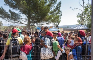 Refugee and travel ban: Hooray for checks and balances checks and balances