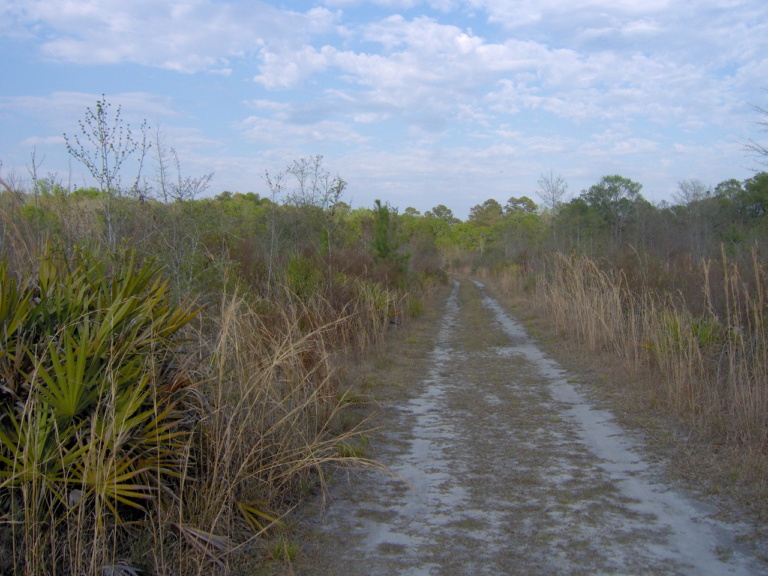 South Carolinian’s poems conjure views of the South