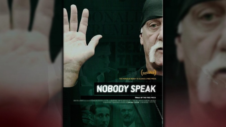 Hulk Hogan, Gawker film highlights media challenges