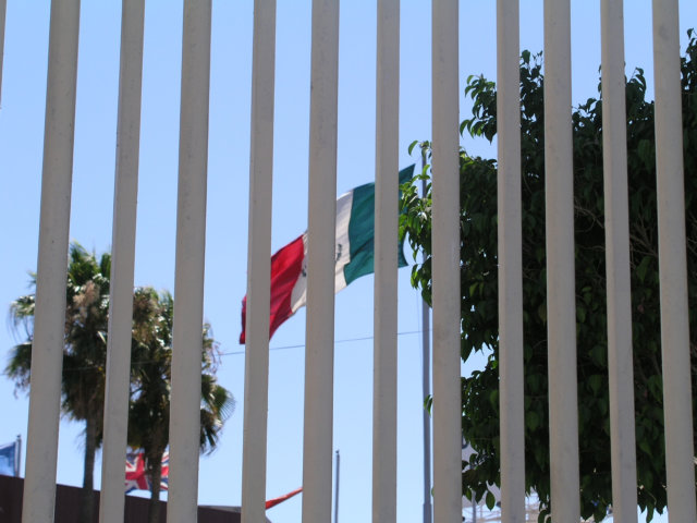 immigrant students
