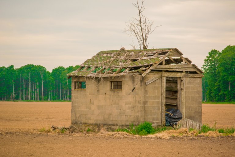 Nigerian poetry: ‘This house has fallen’ and ‘Ekun Iyawo’