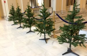 Fallin announces narrow special session scope special session