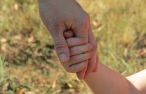 Survey says: Bring back teachers, high-quality teaching teachers