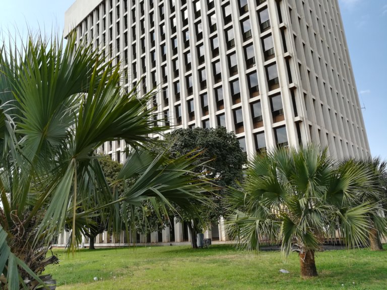 Zimbabwean’s poems touch on African history, writing