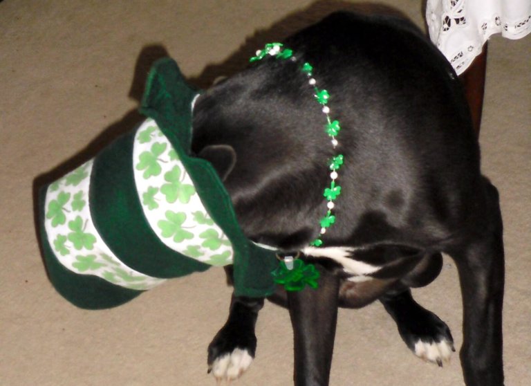St. Patrick’s Day 2018: An OKC metro guide