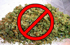 Effort forming to oppose SQ 788 on medical marijuana