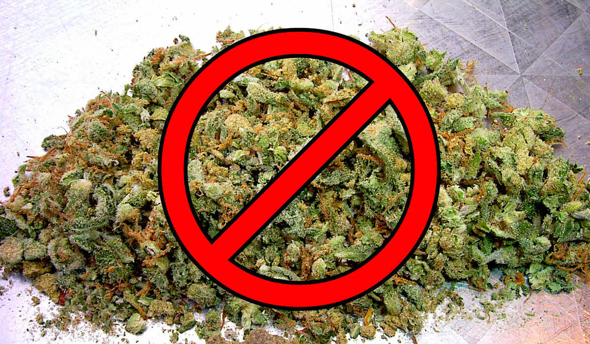 Effort forming to oppose SQ 788 on medical marijuana