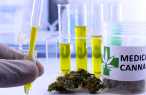 Potency caps, seed-to-sale vendor reboot among Legislature’s 2023 marijuana measures 2023 marijuana measures