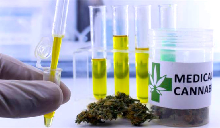 Potency caps, seed-to-sale vendor reboot among Legislature’s 2023 marijuana measures