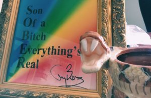 Son Of a Bitch Everything’s Real: An acronym for hope Sober