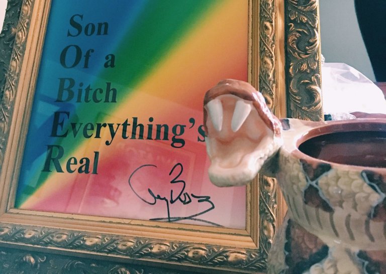 Son Of a Bitch Everything’s Real: An acronym for hope