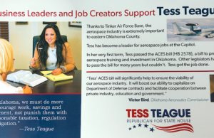 Rep. Tess Teague campaign flier irks Aeronautics Commission director Tess Teague