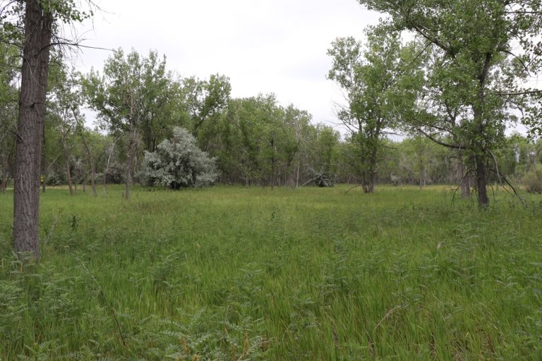 Photo essay: Denver’s Cherry Creek State Park