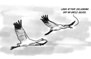 Ironically, whooping cranes have view of OKC growth Whooping cranes Uncle Julio's
