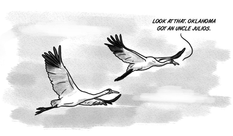 Ironically, whooping cranes have view of OKC growth