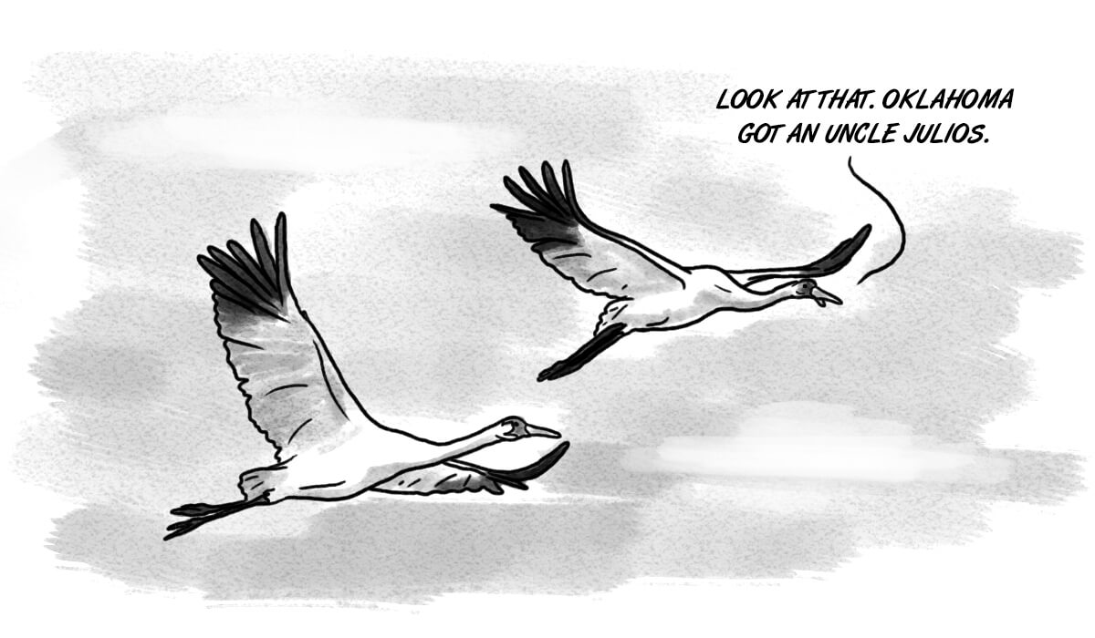 Ironically, whooping cranes have view of OKC growth