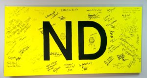 We’re back: Changes and growth to highlight 2019 NonDoc newsroom