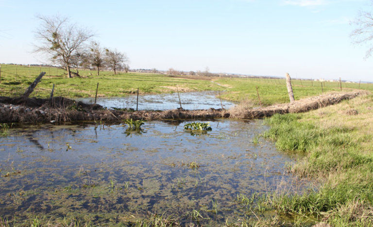 New definition of federally regulated waters encourages OK farmers