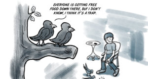 Spring is for the opportunities, not the birds spring